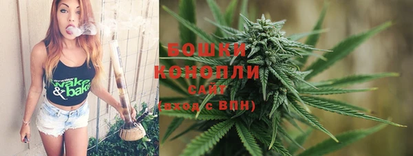 ПСИЛОЦИБИНОВЫЕ ГРИБЫ Верея