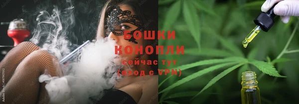 spice Пестово