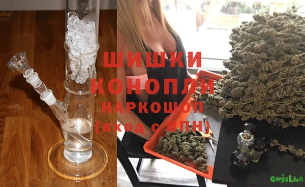 ПСИЛОЦИБИНОВЫЕ ГРИБЫ Верея