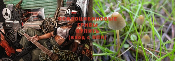 ПСИЛОЦИБИНОВЫЕ ГРИБЫ Верея