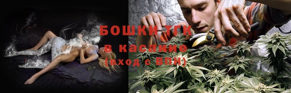 ПСИЛОЦИБИНОВЫЕ ГРИБЫ Верея