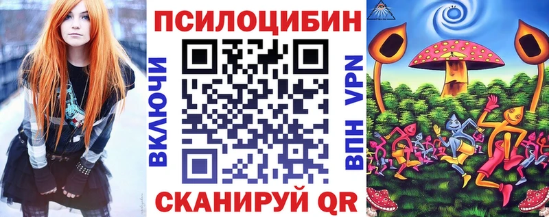 Псилоцибиновые грибы Psilocybe наркота Карачаевск